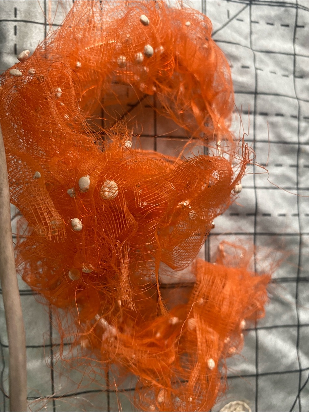 Vibrant Orange Mesh Statement Earrings with Bead Accents